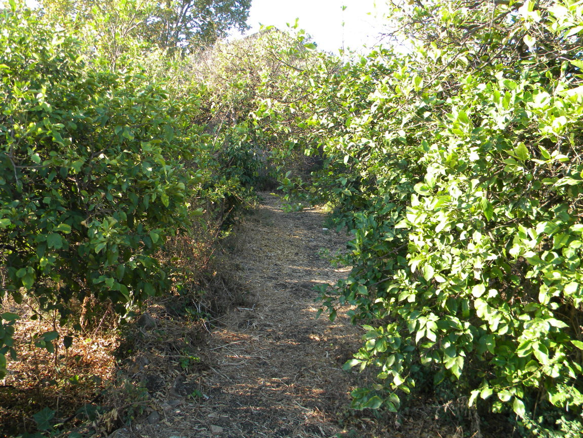 DSCN7983 .JPG